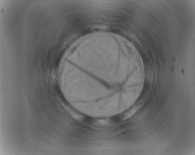 X0000075890285200610151759