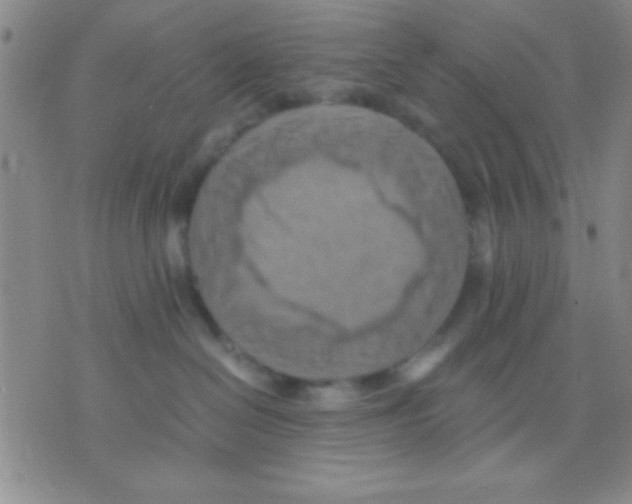 X0000075890286200610151759