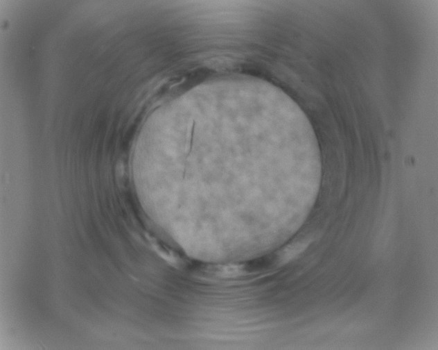 X0000075890288200610151759