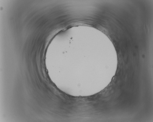 X0000075890289200610151758