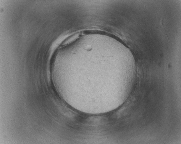 X0000075890294200610151758