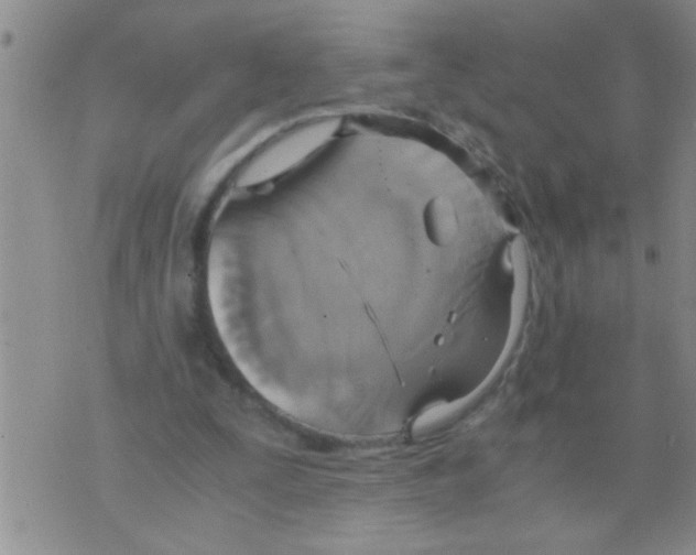 X0000075890295200610151758