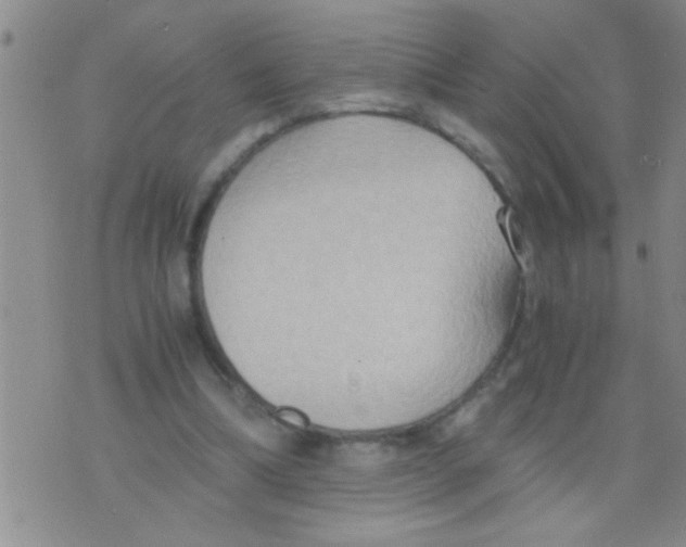 X0000075890298200610151758