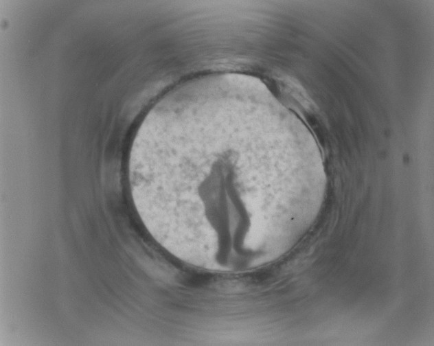 X0000075890299200610151758