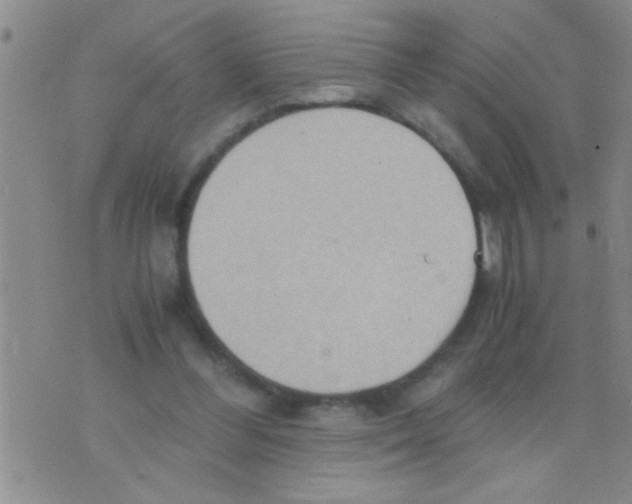 X0000075890300200610151758