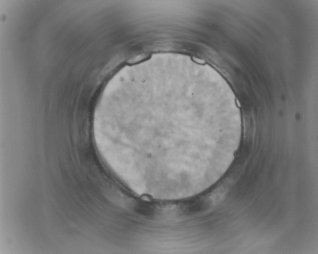 X0000075890301200610151758