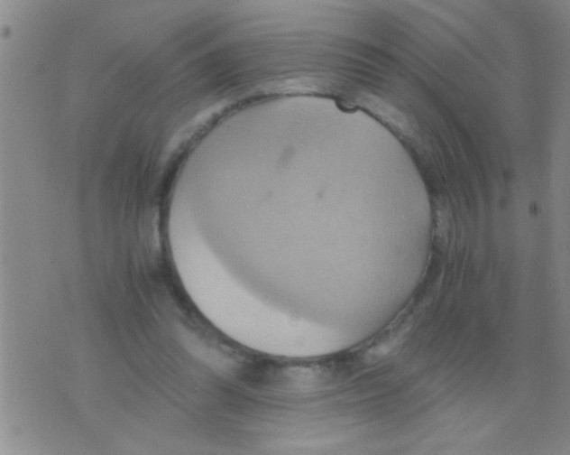 X0000075890302200610151758