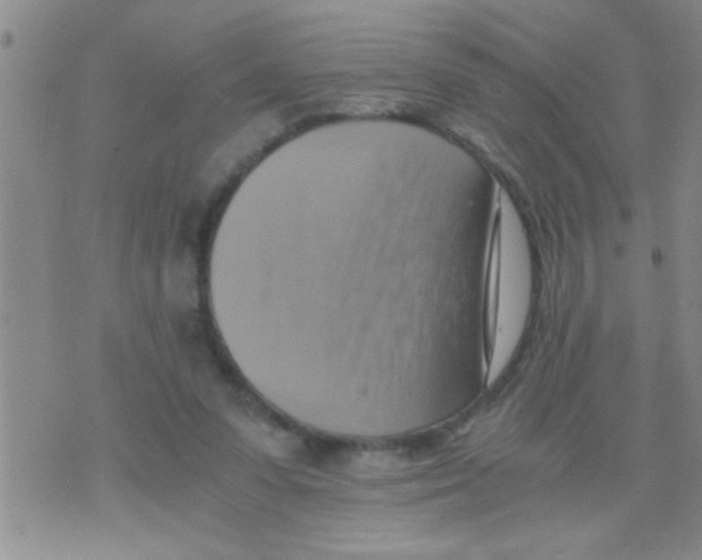 X0000075890303200610151758