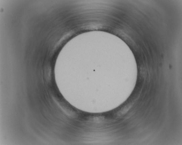 X0000075890304200610151758