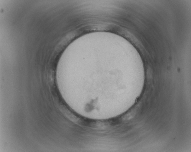 X0000075890305200610151758