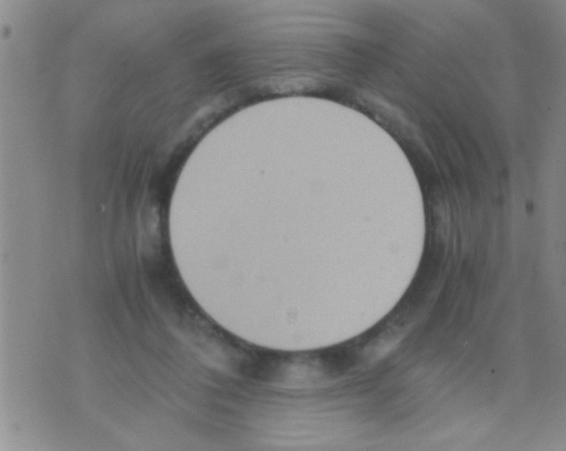 X0000075890308200610151758