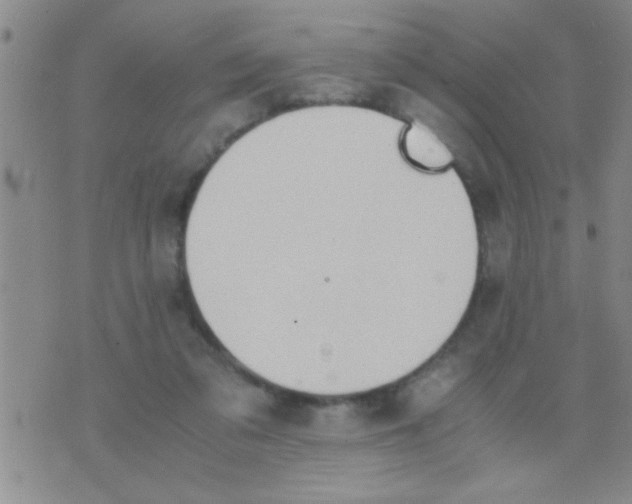 X0000075890309200610151758