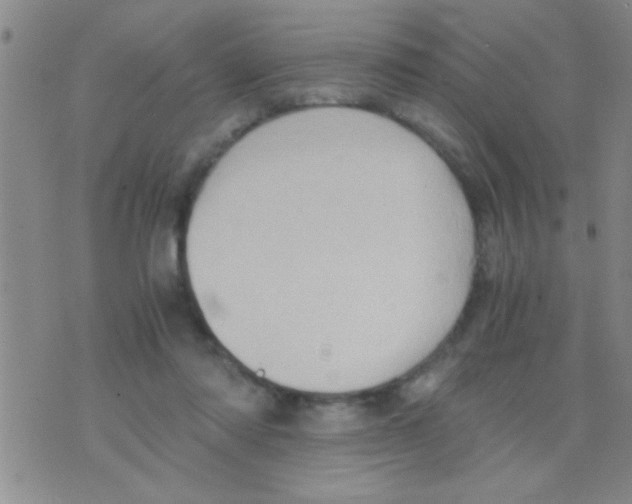 X0000075890310200610151758