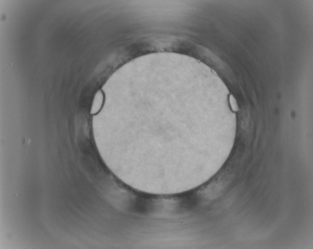 X0000075890313200610151758