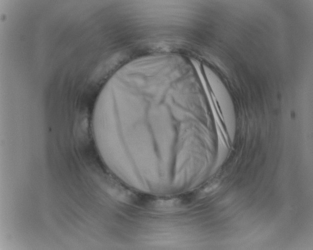 X0000075890314200610151758