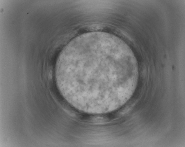 X0000075890315200610151758