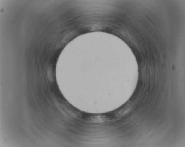 X0000075890316200610151758