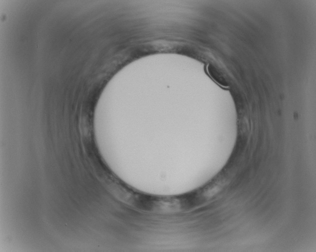 X0000075890317200610151758