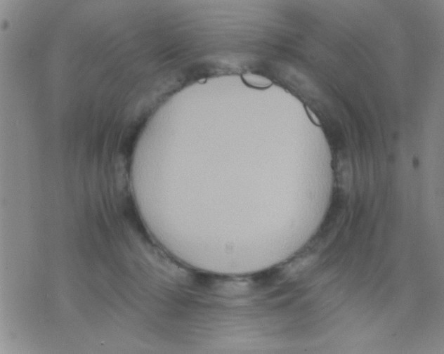 X0000075890318200610151758