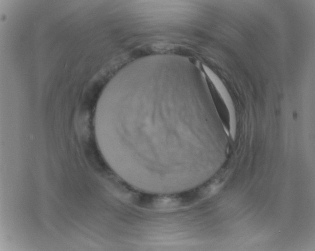 X0000075890319200610151758