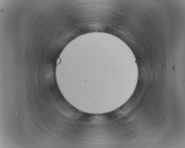 X0000075890320200610151757