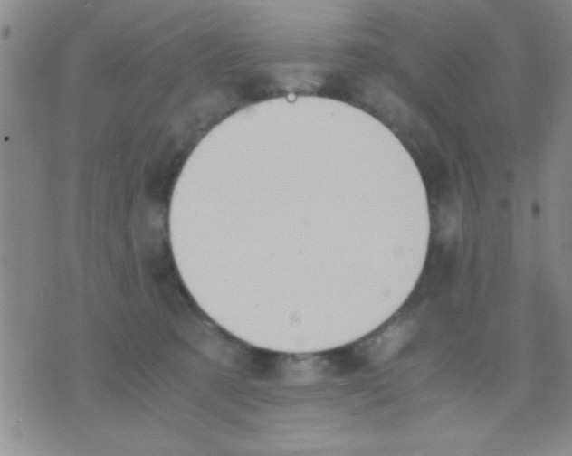 X0000075890321200610151757