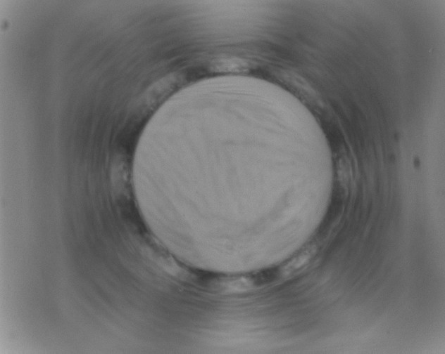 X0000075890322200610151757