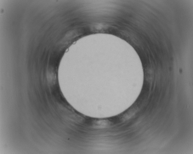 X0000075890324200610151757