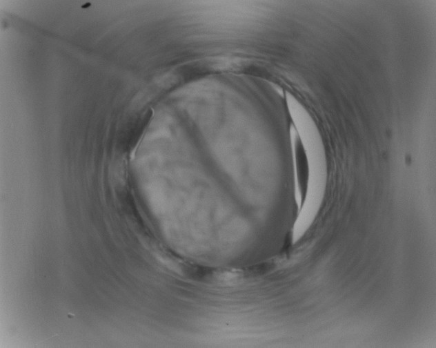 X0000075890325200610151757