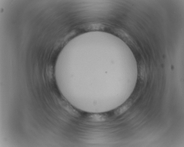 X0000075890326200610151757