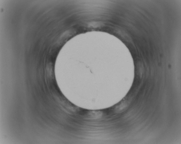 X0000075890328200610151757