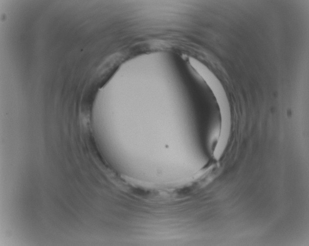 X0000075890329200610151757