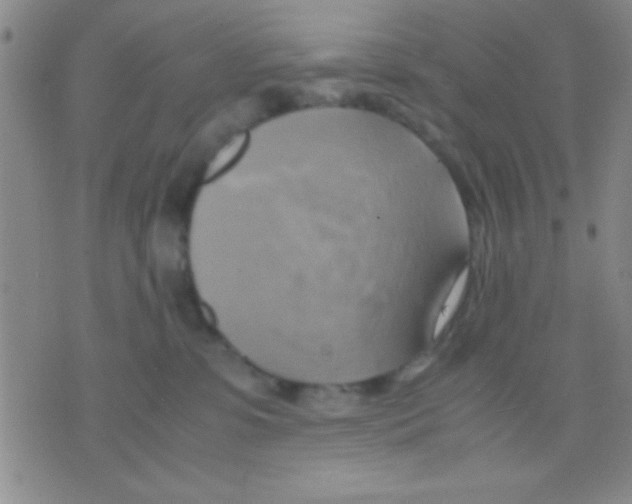 X0000075890331200610151757