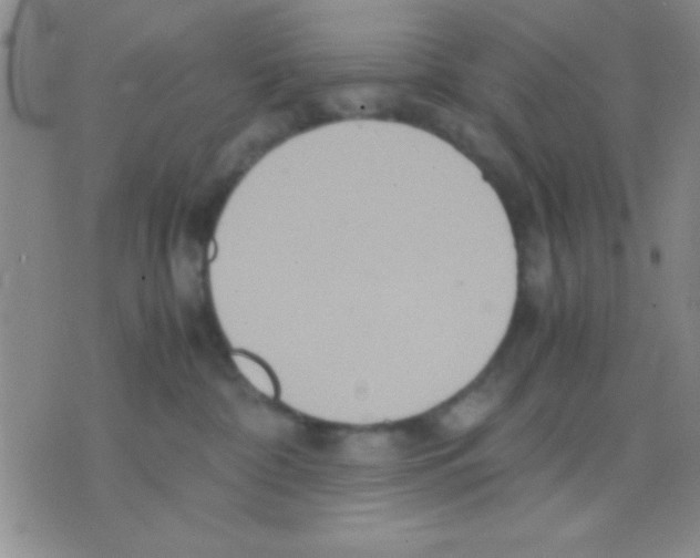 X0000075890332200610151757