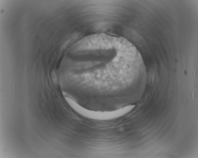 X0000075890335200610151757