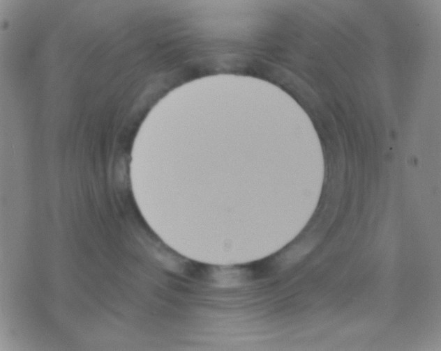 X0000075890336200610151757