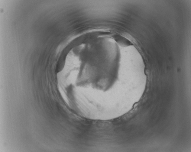 X0000075890337200610151756