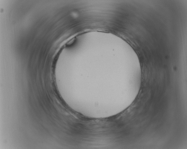 X0000075890338200610151756