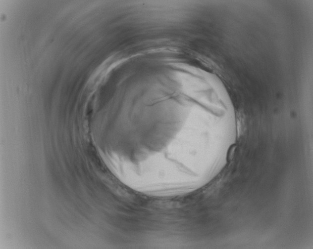 X0000075890339200610151756