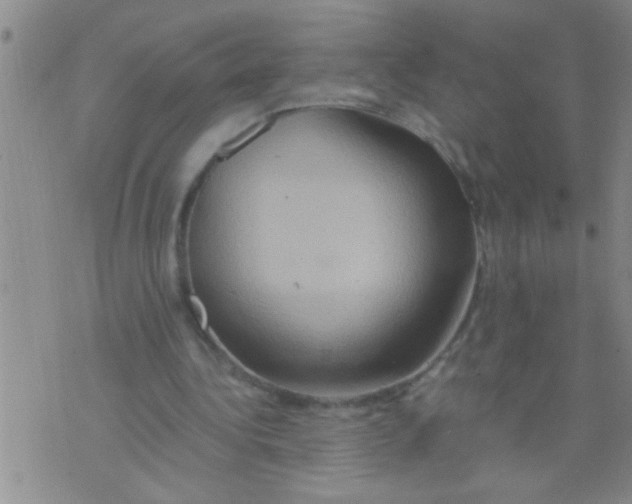 X0000075890340200610151756