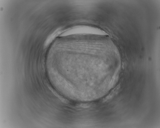 X0000075890341200610151757