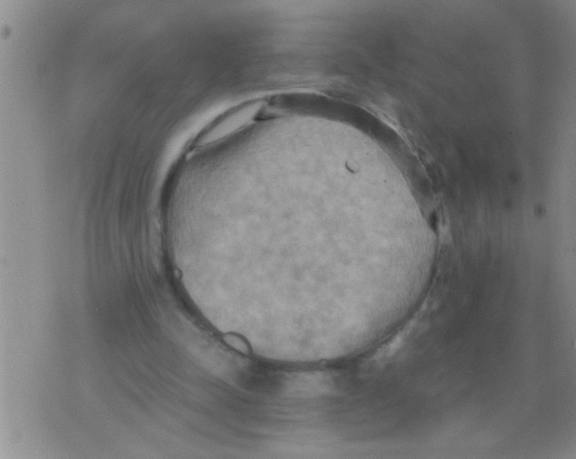 X0000075890342200610151757