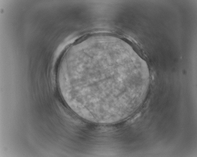 X0000075890343200610151757