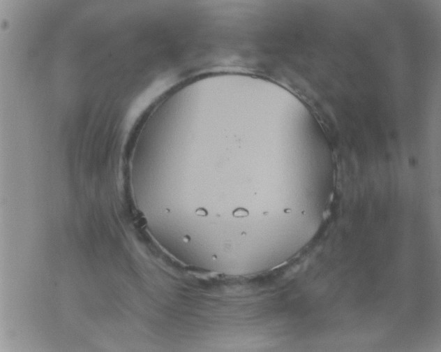 X0000075890344200610151757