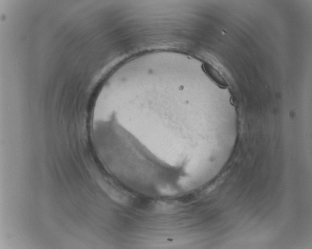 X0000075890346200610151757