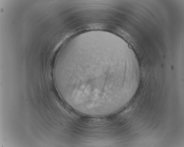 X0000075890347200610151757