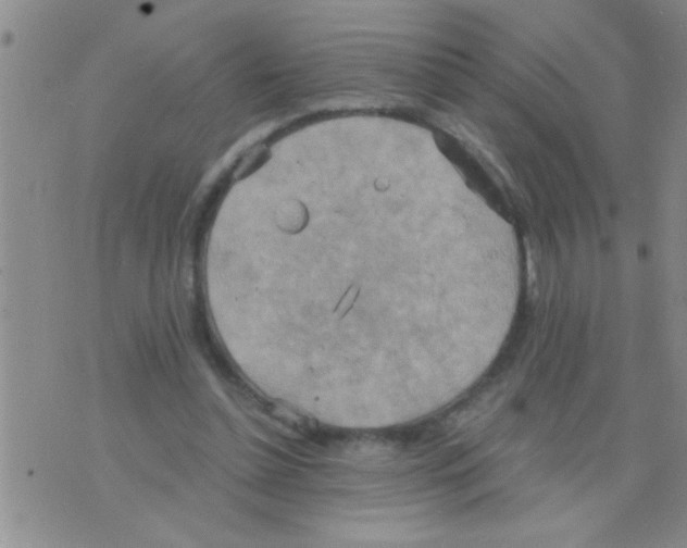 X0000075890348200610151757