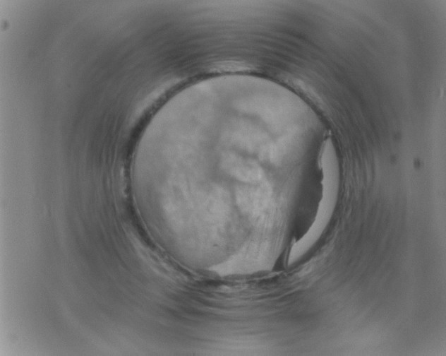 X0000075890351200610151757