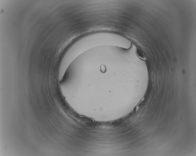 X0000075890352200610151757