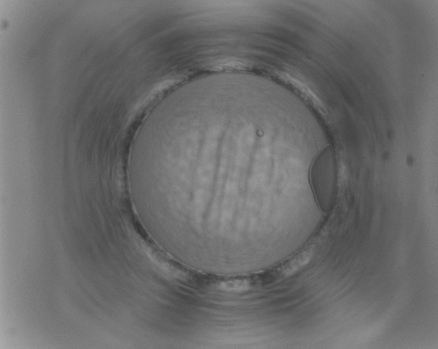 X0000075890353200610151757